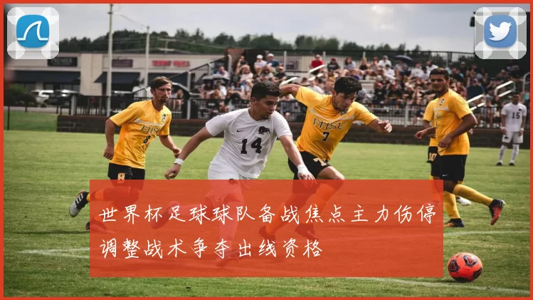 世界杯足球球队备战焦点主力伤停调整战术争夺出线资格