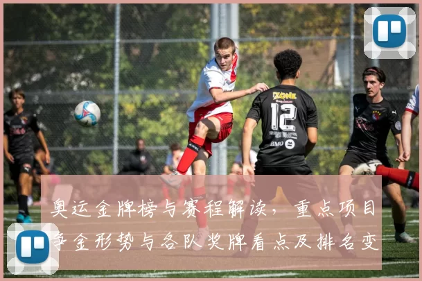 奥运金牌榜与赛程解读，重点项目争金形势与各队奖牌看点及排名变化