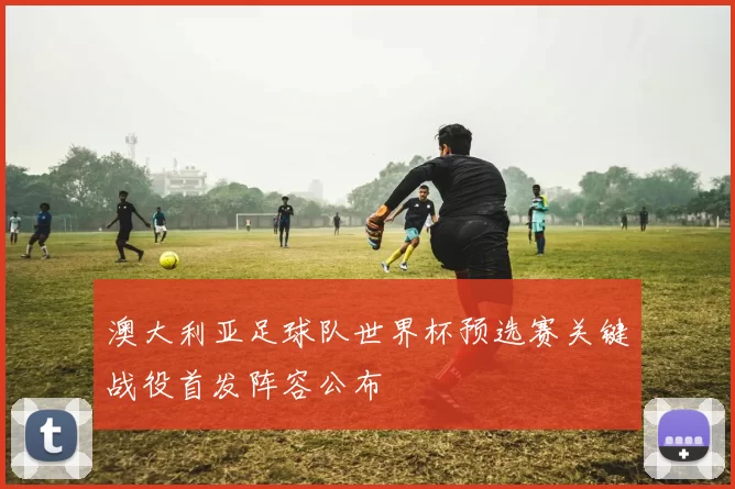 澳大利亚足球队世界杯预选赛关键战役首发阵容公布