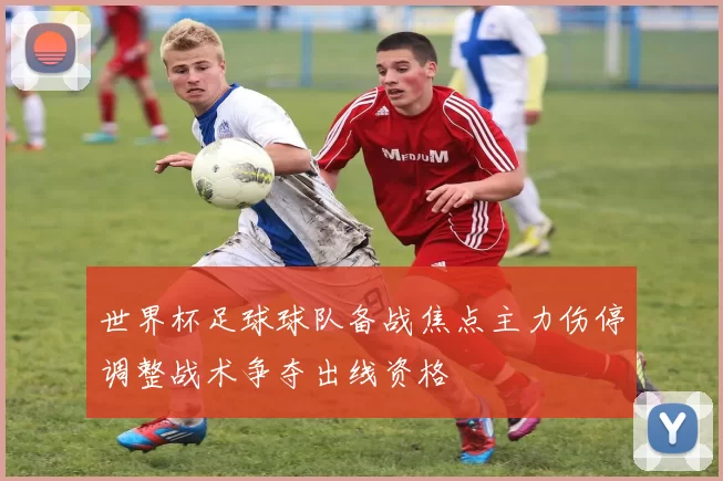 世界杯足球球队备战焦点主力伤停调整战术争夺出线资格