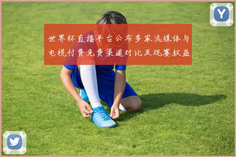 世界杯直播平台公布多家流媒体与电视付费免费渠道对比及观赛权益差异