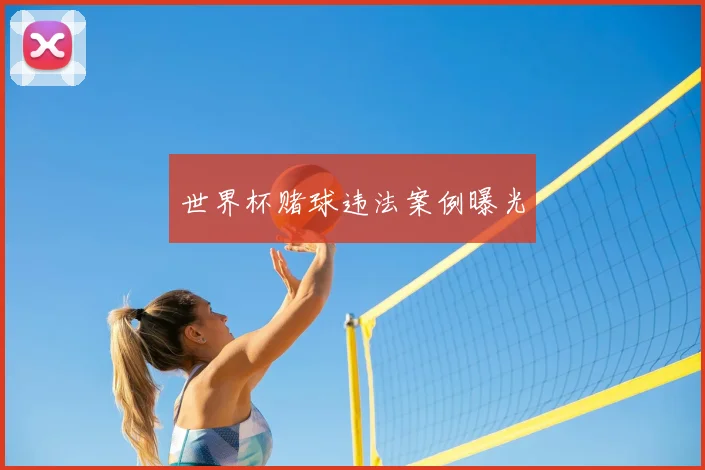 世界杯赌球违法案例曝光