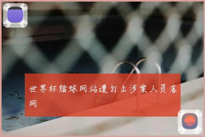 世界杯赌球网站遭打击涉案人员落网