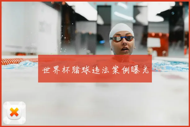 世界杯赌球违法案例曝光